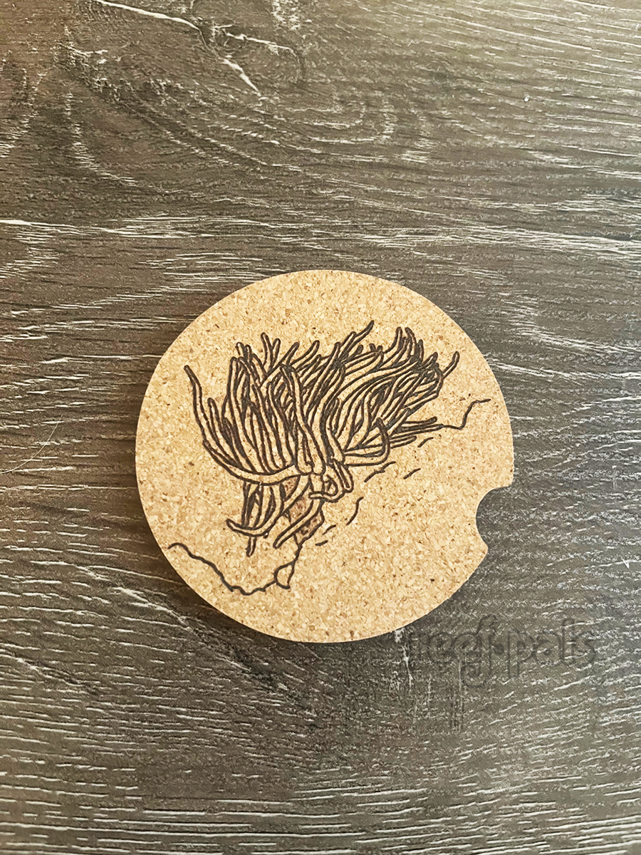 Reef Pals Car Cup Holder Coasters