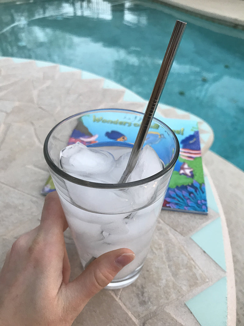 Stainless Steel Reusable Drinking Staw Set
