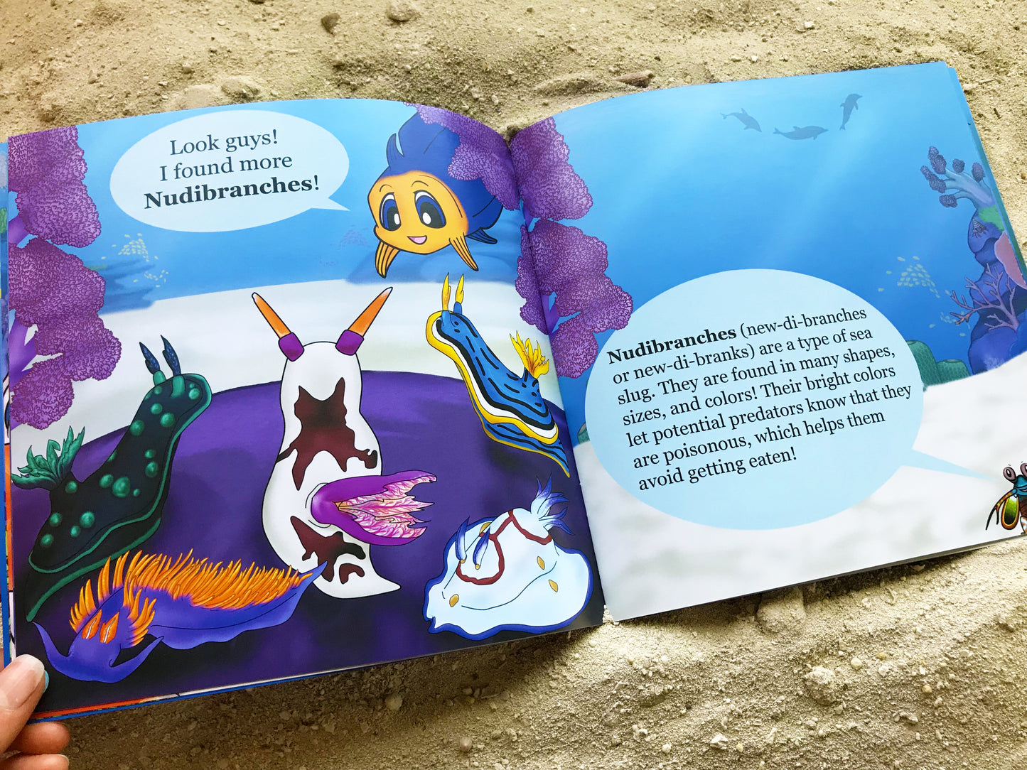 Reef Pals: Wonders of the Reef - 1st Ed