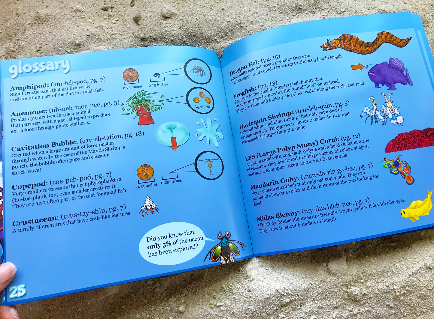 Reef Pals: Wonders of the Reef - 1st Ed